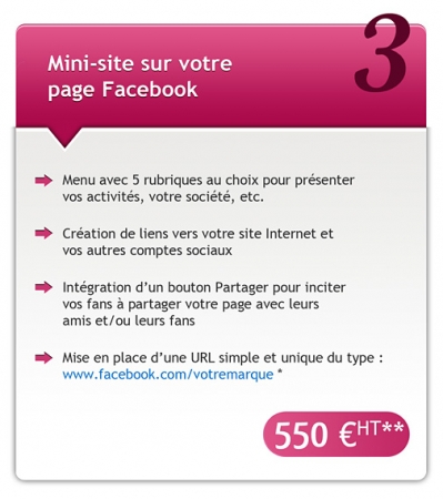 facebook-593-1- mini site