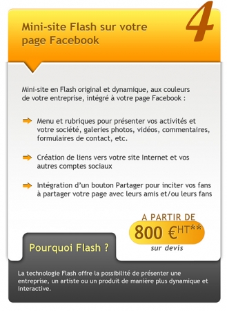 facebook-594-1- mini site flash