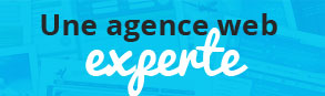 agence web expert